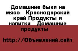 Домашние быки на мясо - Краснодарский край Продукты и напитки » Домашние продукты   
